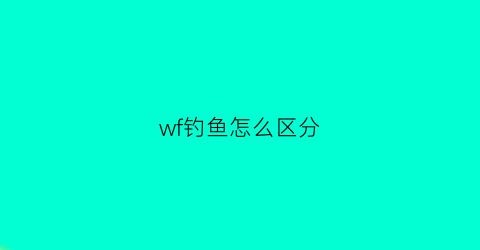 wf钓鱼怎么区分(钓鱼wlan是什么意思)