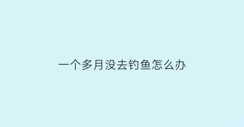 一个多月没去钓鱼怎么办(一个月没看)