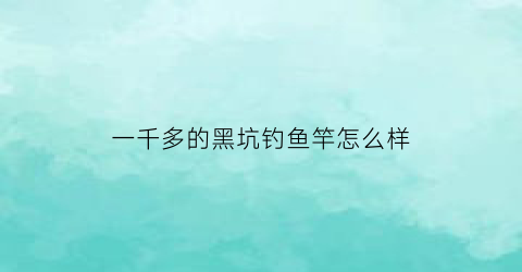 一千多的黑坑钓鱼竿怎么样(黑坑放2000斤鱼钓费多少)
