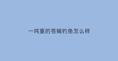 一吨重的苍蝇钓鱼怎么样