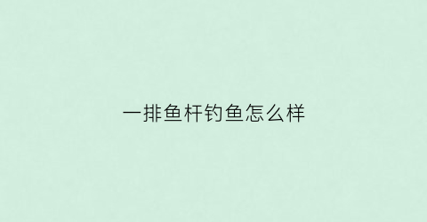 一排鱼杆钓鱼怎么样