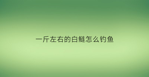 一斤左右的白鲢怎么钓鱼(一斤左右的白鲢怎么钓鱼好)