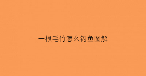 一根毛竹怎么钓鱼图解(一根毛竹怎么钓鱼图解视频)