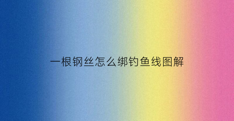 一根钢丝怎么绑钓鱼线图解(一根钢丝可以做什么手工)