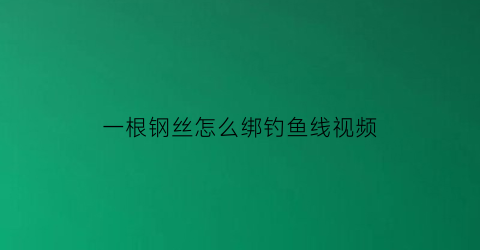 “一根钢丝怎么绑钓鱼线视频(钢丝线绑鱼钩的方法视频)