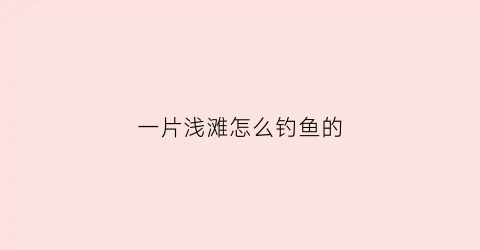 一片浅滩怎么钓鱼的(浅滩上的鱼)