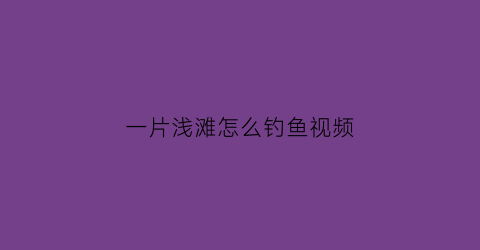 “一片浅滩怎么钓鱼视频(一片浅滩怎么钓鱼视频教学)