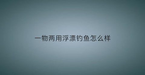 一物两用浮漂钓鱼怎么样(一物两用什么意思)
