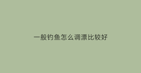 一般钓鱼怎么调漂比较好(钓鱼怎么调漂最好)