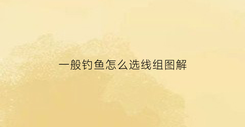 一般钓鱼怎么选线组图解(钓鱼最佳线组搭配)