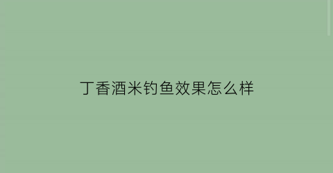 丁香酒米钓鱼效果怎么样(丁香酒米窝料制作方法)