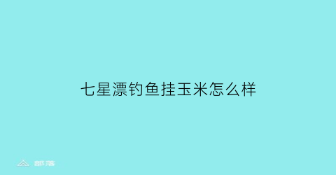 七星漂钓鱼挂玉米怎么样