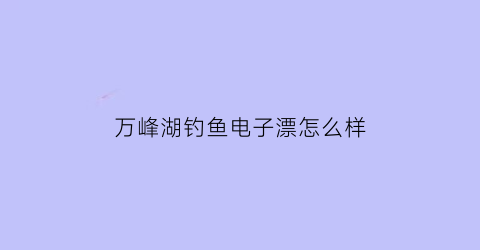 “万峰湖钓鱼电子漂怎么样(万峰湖钓鱼电子漂怎么样用)