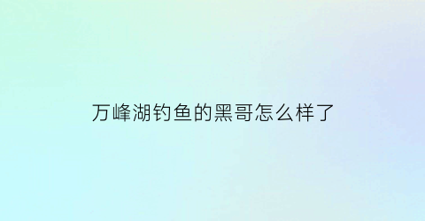 万峰湖钓鱼的黑哥怎么样了(万峰湖钓鱼的黑哥怎么样了视频)