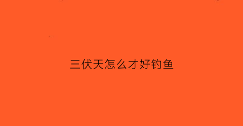 三伏天怎么才好钓鱼