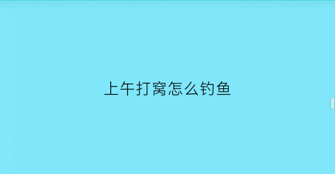 “上午打窝怎么钓鱼(早上打窝下午钓需要打多少窝料)