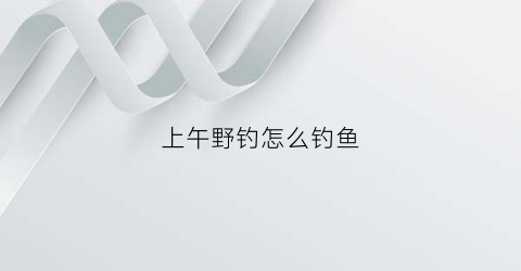 上午野钓怎么钓鱼(上午钓鱼技巧)