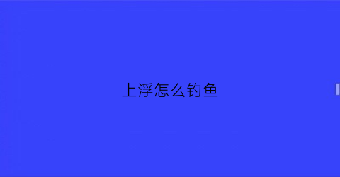 上浮怎么钓鱼(如何上浮漂)