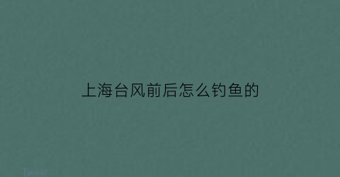 “上海台风前后怎么钓鱼的(台风降临上海)