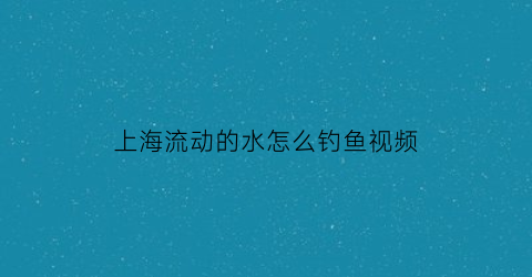 “上海流动的水怎么钓鱼视频(上海河边钓鱼)