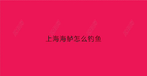 上海海鲈怎么钓鱼(上海海鲈怎么钓鱼视频)