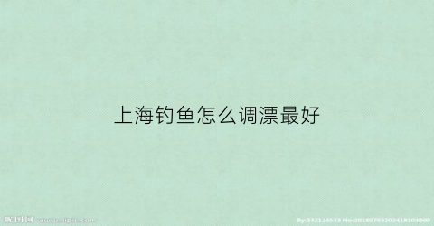 上海钓鱼怎么调漂最好(上海钓鱼攻略)