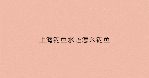 上海钓鱼水蛭怎么钓鱼(钓水蛭用什么)