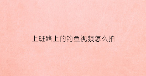 “上班路上的钓鱼视频怎么拍(上班路上的钓鱼视频怎么拍的)