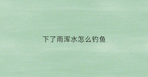 下了雨浑水怎么钓鱼(下了雨浑水怎么钓鱼视频)