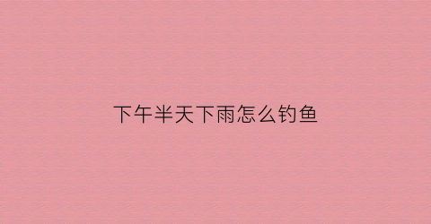 下午半天下雨怎么钓鱼(下雨天中午钓鱼口好吗)