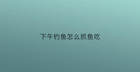 下午钓鱼怎么抓鱼吃(下午如何钓鱼)