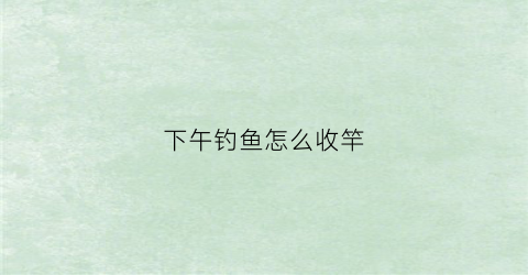 下午钓鱼怎么收竿(下午钓鱼怎么钓才能钓得到鱼)