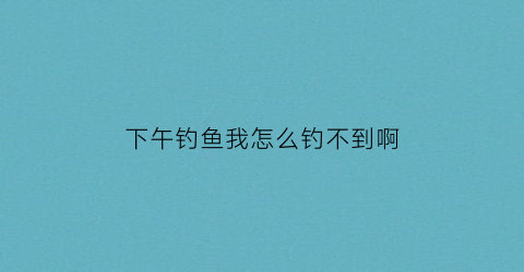 下午钓鱼我怎么钓不到啊