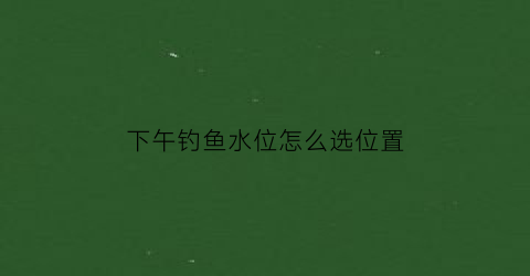 “下午钓鱼水位怎么选位置(下午钓鱼是钓底还是钓浮)