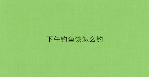 下午钓鱼该怎么钓(钓鱼下午怎么钓鱼)