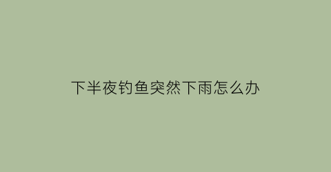 下半夜钓鱼突然下雨怎么办(下半夜钓鱼突然下雨怎么办呢)