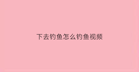 下去钓鱼怎么钓鱼视频(下鱼钓鱼技巧)
