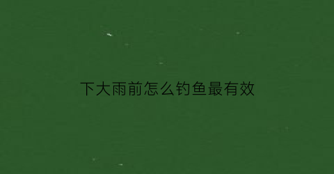 下大雨前怎么钓鱼最有效