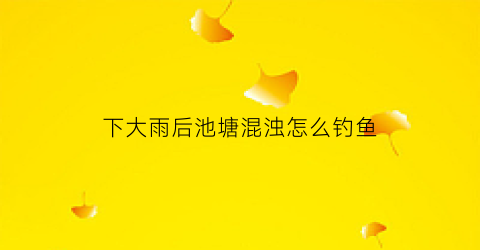 下大雨后池塘混浊怎么钓鱼