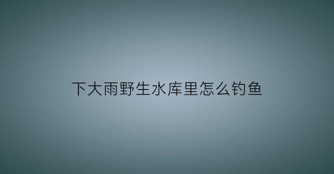 “下大雨野生水库里怎么钓鱼(下完大雨水库怎么钓)