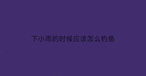 下小雨的时候应该怎么钓鱼(下小雨钓鱼怎么才钓的到)