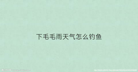 下毛毛雨天气怎么钓鱼(毛毛雨天适合钓鱼吗)