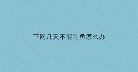 下网几天不能钓鱼怎么办(下网有必要打窝吗)