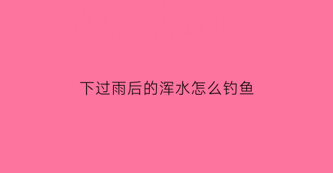 “下过雨后的浑水怎么钓鱼(下雨过后浑水能钓到鱼吗)