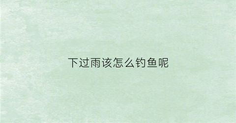 下过雨该怎么钓鱼呢