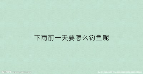 下雨前一天要怎么钓鱼呢(下大雨前一天好钓鱼吗)