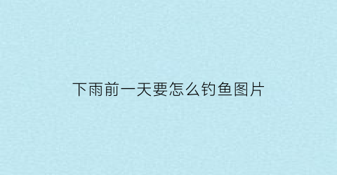 下雨前一天要怎么钓鱼图片(下雨前一天鱼适合钓鱼吗)