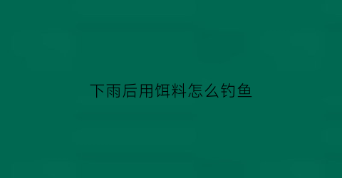 下雨后用饵料怎么钓鱼(下雨后钓什么鱼)