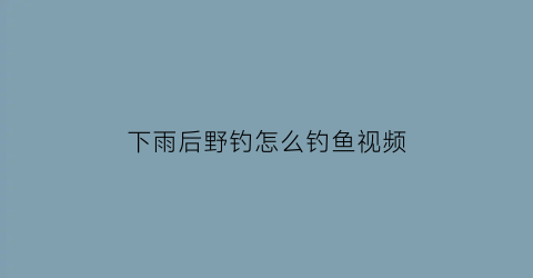 下雨后野钓怎么钓鱼视频(下雨后野钓怎么钓鱼视频教学)