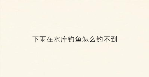 下雨在水库钓鱼怎么钓不到(下雨天水库鱼好不好钓)